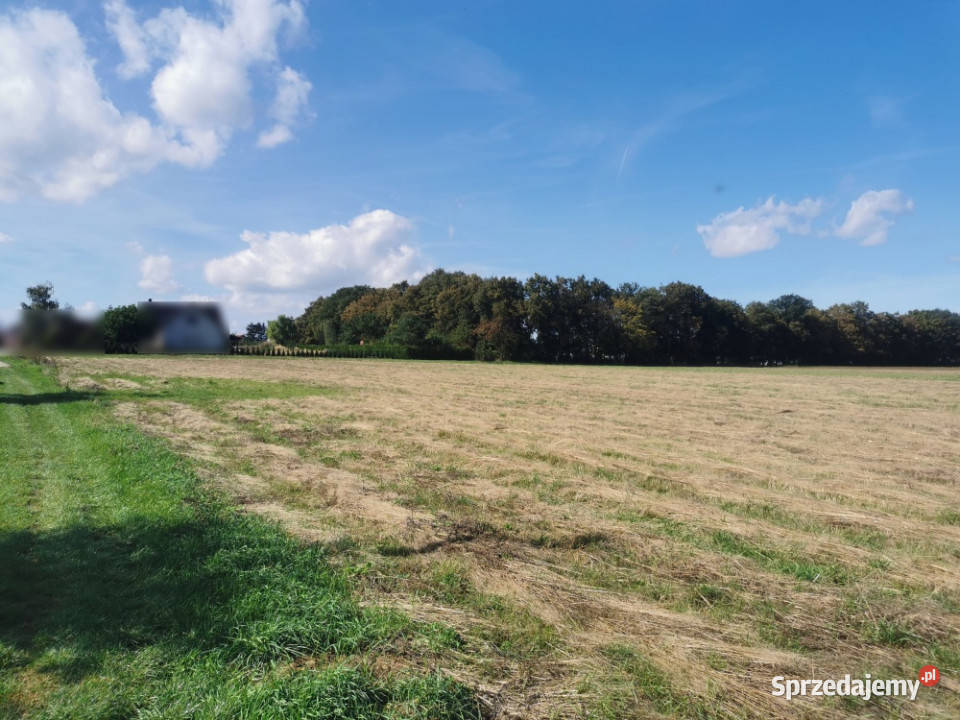 Sprzedam działkę budowlaną 15 arów z MPZP Jegłowa
