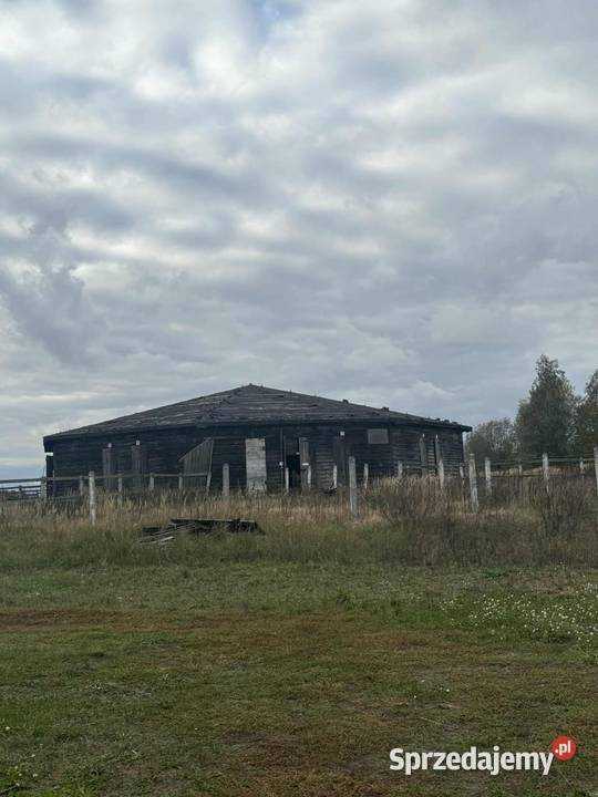 Syndyk sprzeda nieruchomość miejscowość 64600m2 mazowieckie Bronisławy