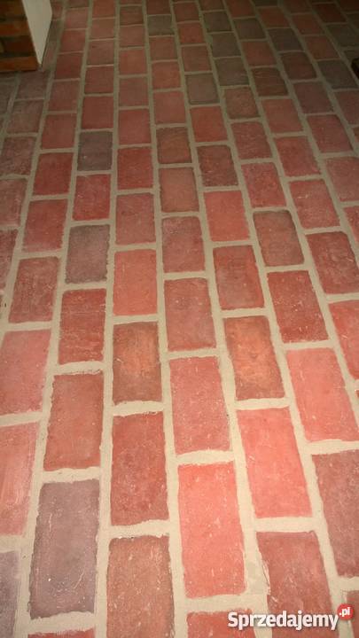 Stara cegła tarasowa Wolsztyn