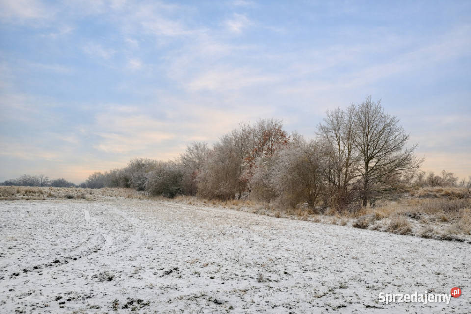 Działka pod hale magazynowo produkcyjną polna