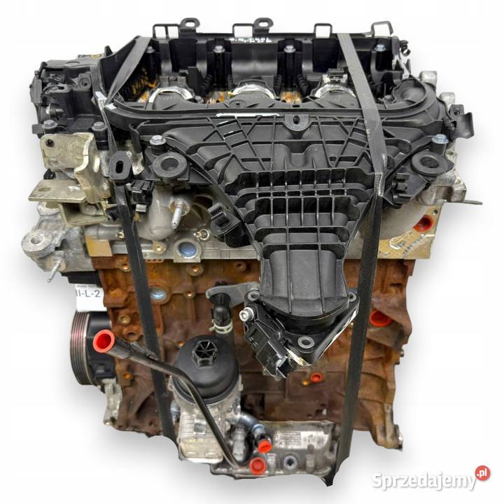 SILNIK TXDB Ford Focus III MK3 C C II 20 TDCI sprzedam
