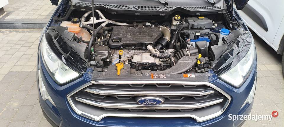 Ford EcoSport 15 tdci lubuskie Zielona Góra