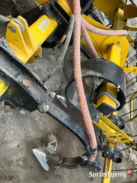 Claydon 3 m stip till siew pasowy warmińsko-mazurskie