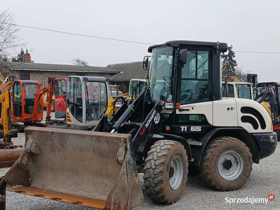 Schaeff TL65 SCHAEFF TL65 Ładowarka kołowa 2019 Rok produkcji 2019