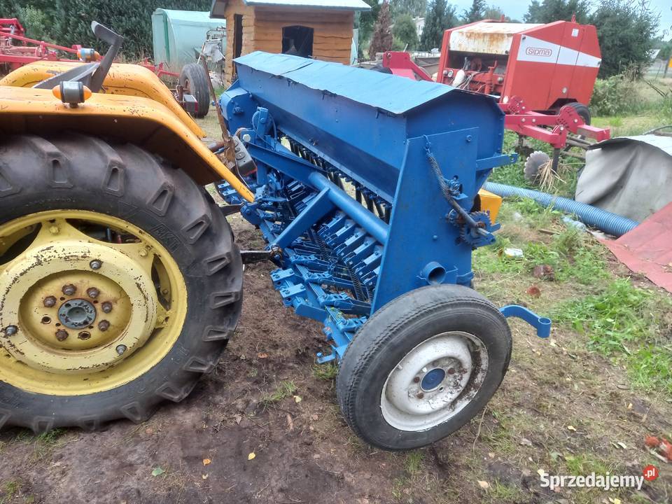 Siewnik poznaniak łódzkie Sieradz
