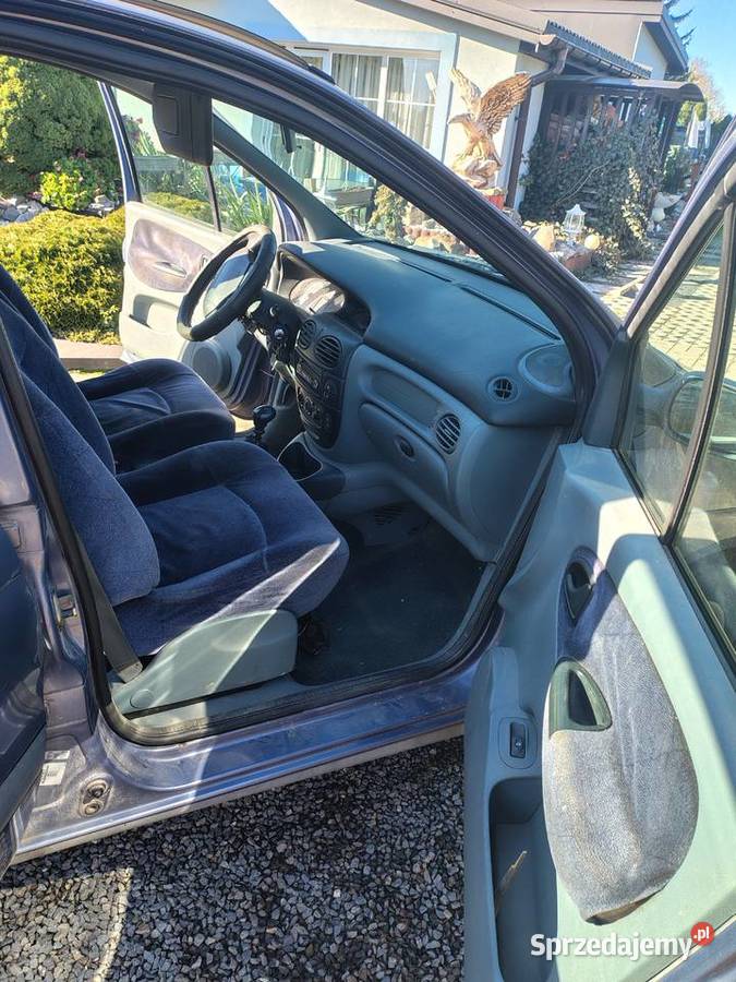 Renault scenic benzyna Nałęczów
