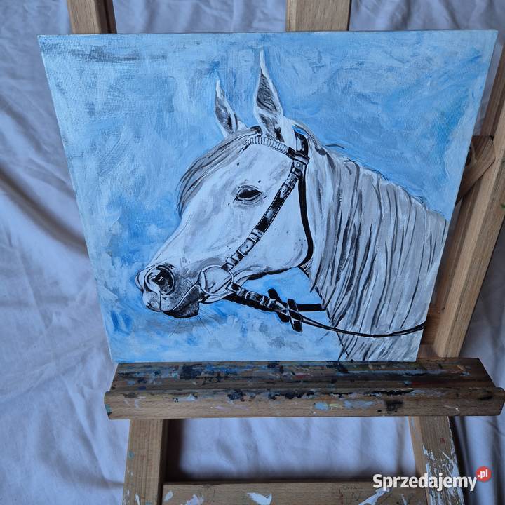 Obraz klacz koń arabski stadnina białka Janów Brzesko