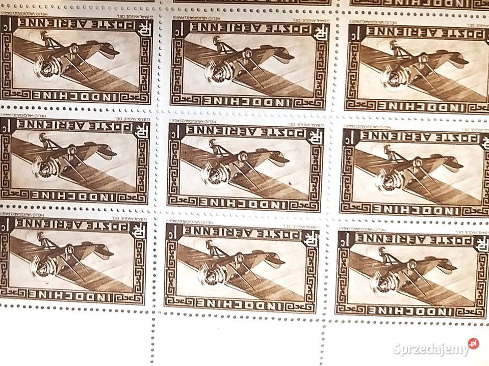 Znaczek kolonialny Poczta lotnicza Indochiny mazowieckie Bronisze