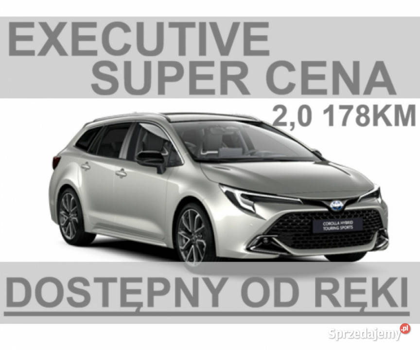 Toyota Corolla 178 Executive Martwe Pole