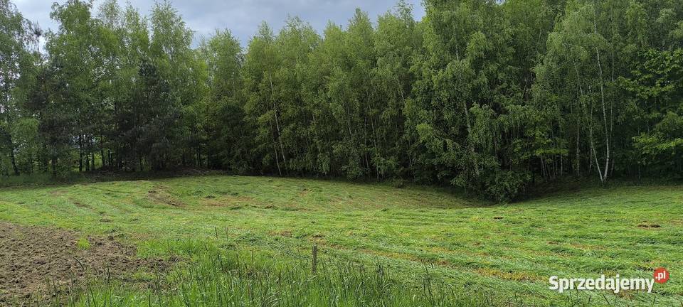Działka rolno rekreacyjna 41arów Błażowa
