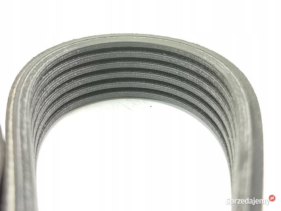 PASEK WIELOROWKOWY ALFA ROMEO 145 19 JTD 9901