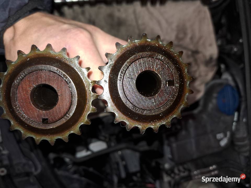 Wałek rozrządu 18t audi a4 b6 b7 Buczek