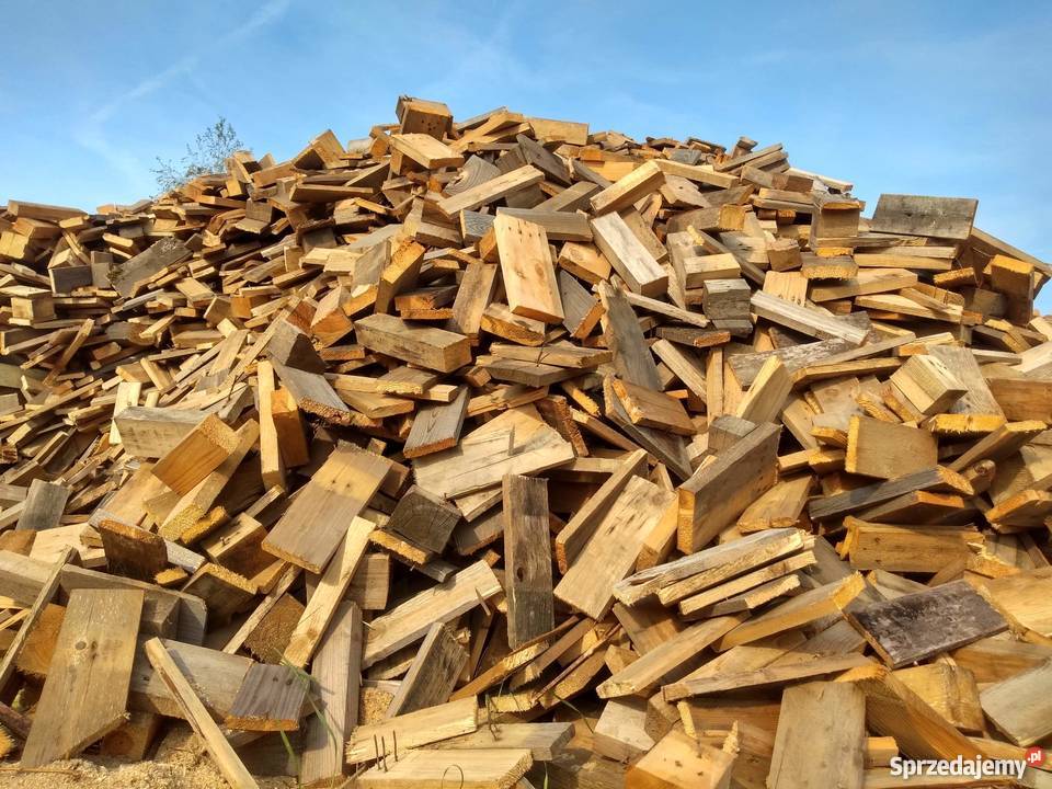 Drzewo cięte na opal Oborniki sprzedam