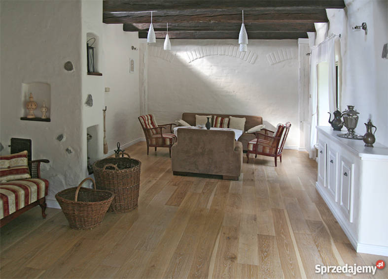 Dom jeziorem w okolicach Poznania alarm Potrzanowo