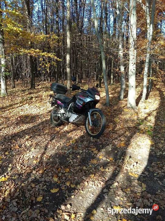 HONDA TRANSALP 600 Motoryzacja