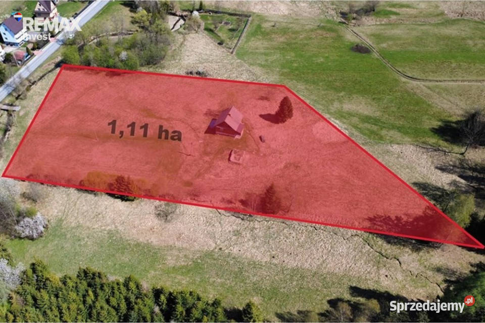 Klimatyczny drewniany dom z ogromnym terenem 109m2 Kurów sprzedam