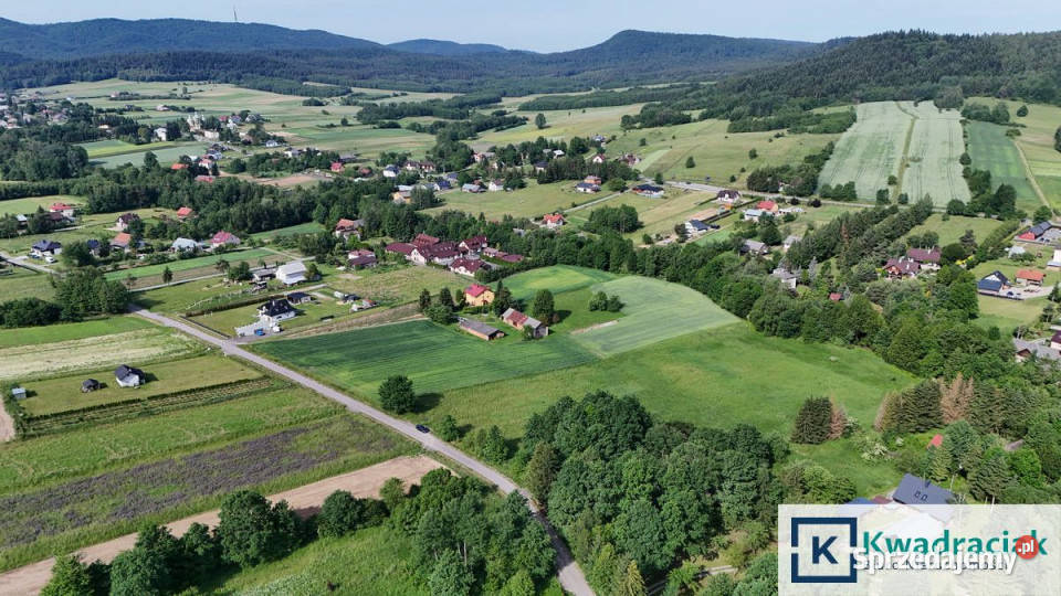 Działka 13100m2 Krasna
