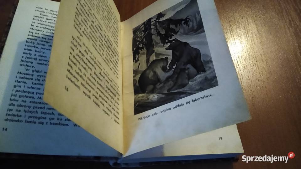 Pojednanie powieść o niedźwiedziu tatrzańskim literatura piękna - proza polska Gdańsk