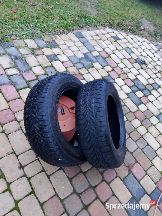 Opony zimoweDebica frigo