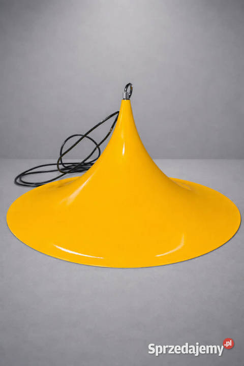 Lampy Podsufitowe Żywiec sprzedam