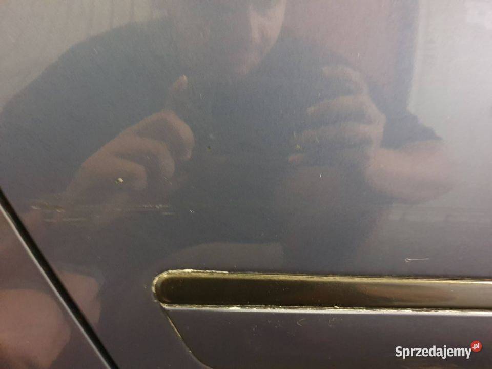 DRZWI PRAWE TYŁ AUDI A8 D3 LZ4U Lipno