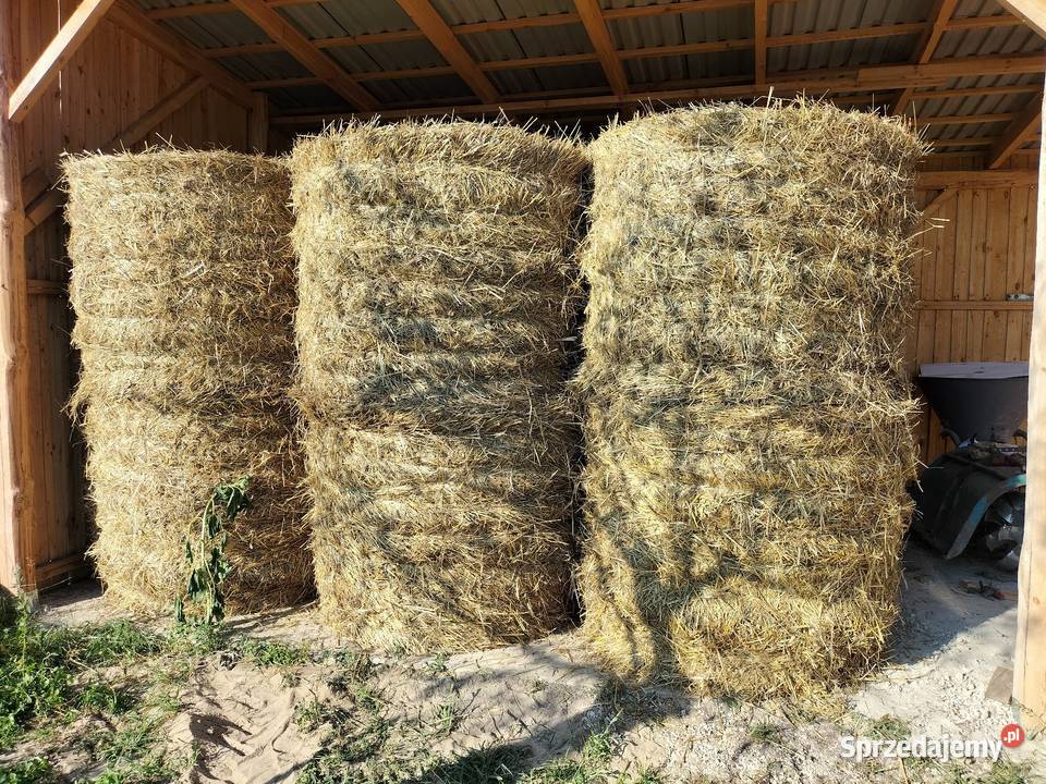 Sprzedam słomę Owadów
