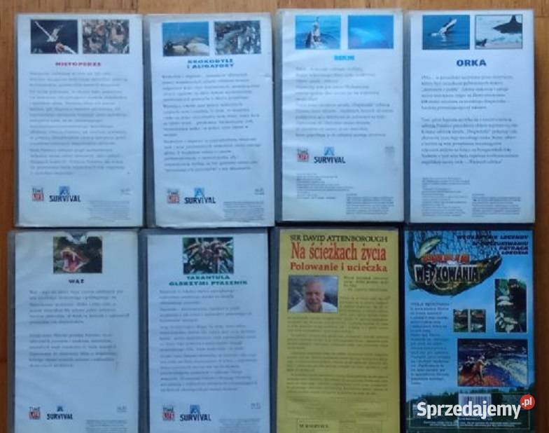 Kasety VHS Drapieżniki Na ścieżkach życia Pasja