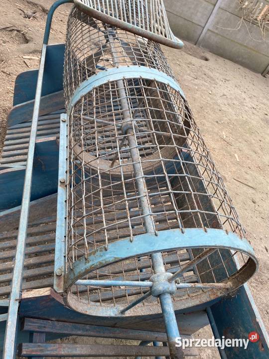 Bębnowy sortownik ziemniaków nieuszkodzony Sortowniki Skrzetusz