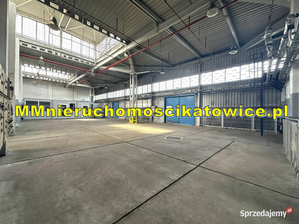 Magazyny do wynajęcia Sosnowiec do 4000 m2 rampy