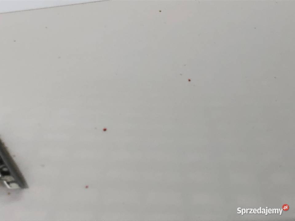 KLAPA TYŁ SKODA CITIGO Hatchback 1119 TYLNA