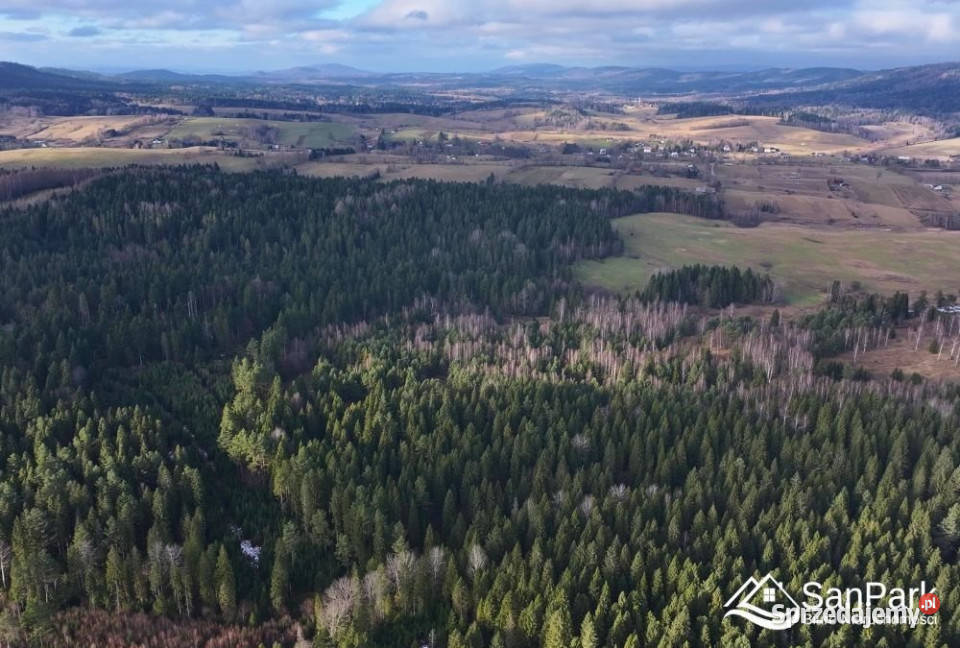 Działka Czarna 11400m2 sprzedam