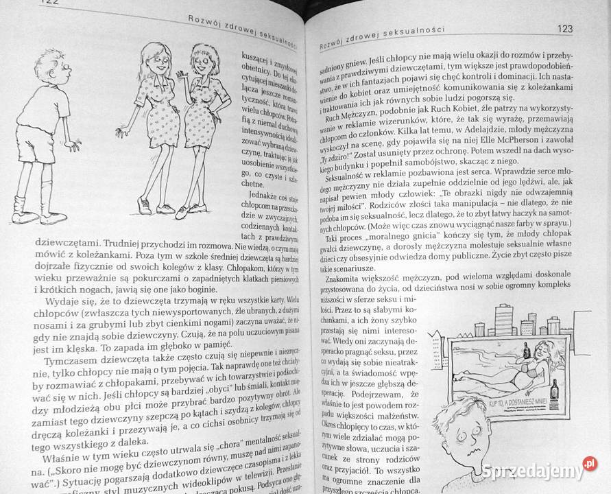 Wychowywanie chłopców Steve Biddulph Chełm sprzedam