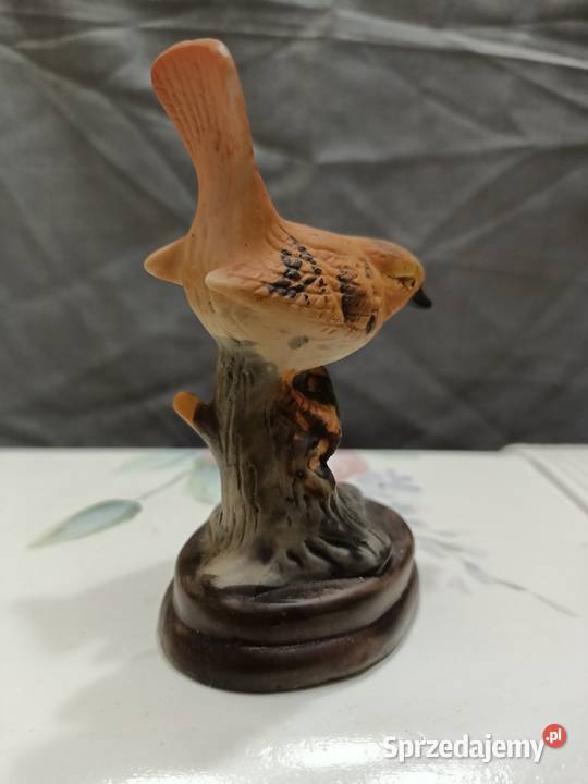 Ptak ptaszek Wren brązowy