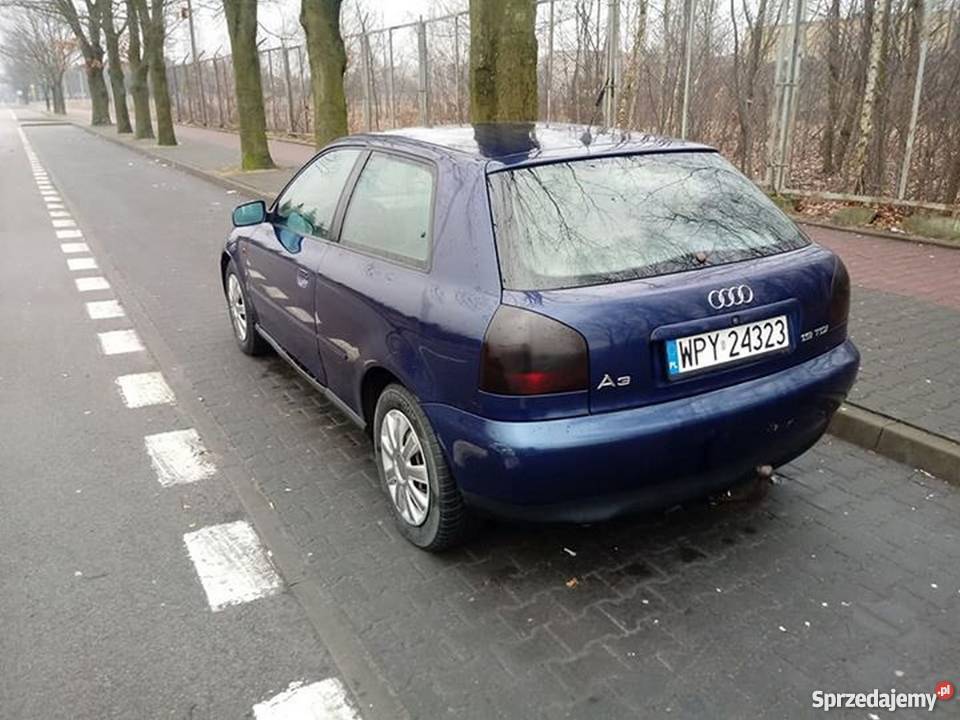 Audi A3 19 TDI 110 Zychorzyn-Kolonia