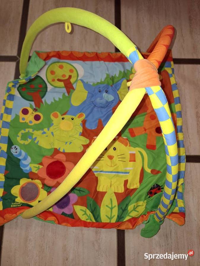 Mata edukacyjna Świdnica