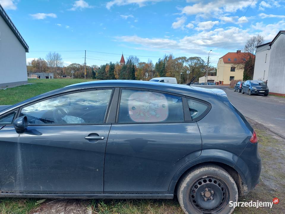 Drzwi KOMPLETNE Seat Leon II 2 Lewe Prawe Tylne