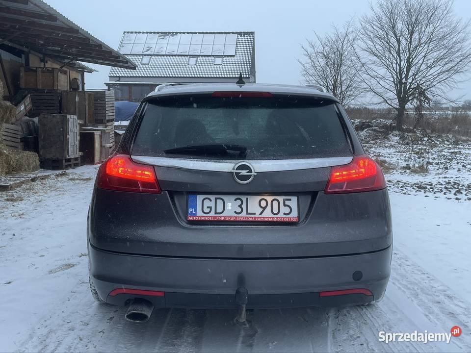Opel Insignia 20cdti 130koni Poznań