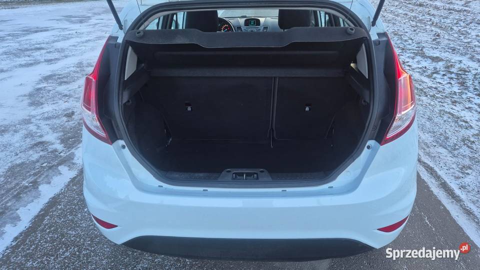Ford Fiesta MK7 10 Ecoboost 2013r 65KM