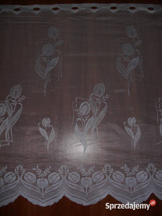 zazdroska krótka firanka 45 70 Wrocław