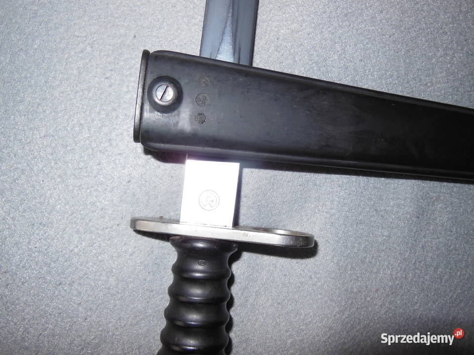 Bagnet Szwajcarski SIG 57 świętokrzyskie Kielce