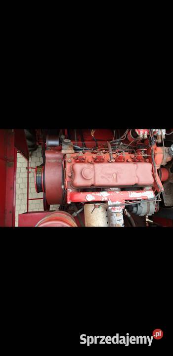 Massey Ferguson 240Nowe pony Massey Ferguson podkarpackie Kraczkowa sprzedam