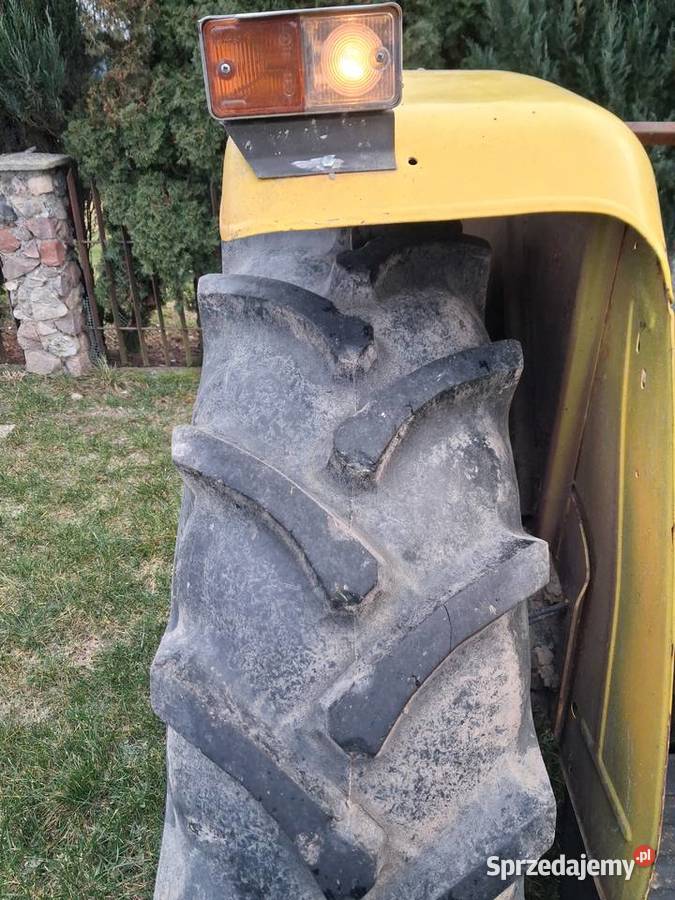 Ursus Orginał Lisewo