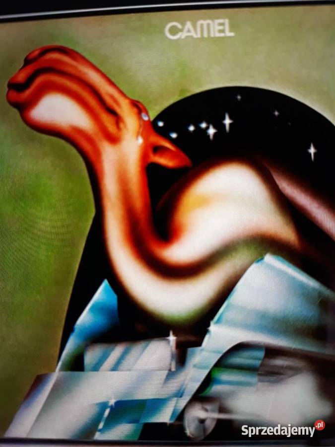 Archiwum Prog Rocka CAMEL Camel 1975 Debiutancki Rzeszów