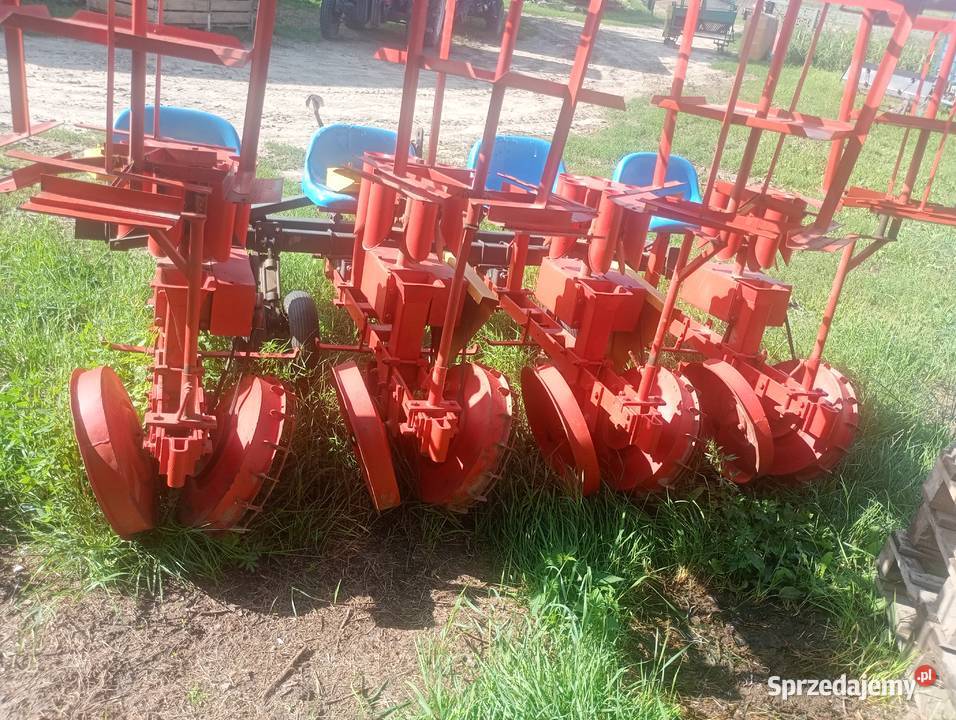 Sadzarka do rozsady warzyw łódzkie