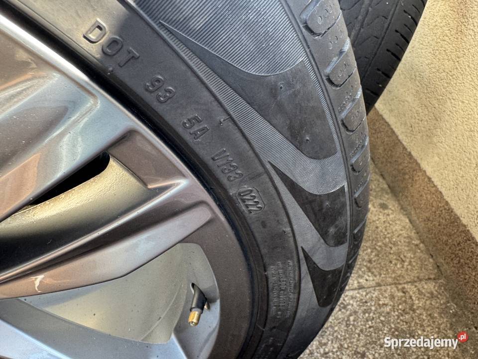 Opony Pirelli Scorpion 25545 R19 100 V Seal mazowieckie Warszawa