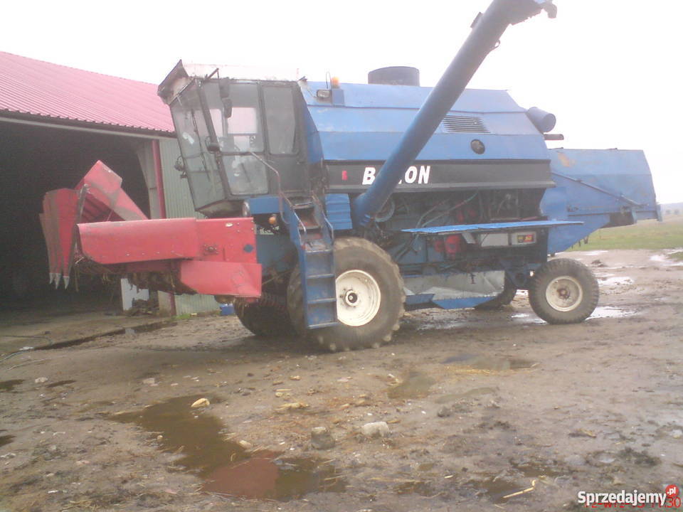 bizon gigant z083 Siemiatycze