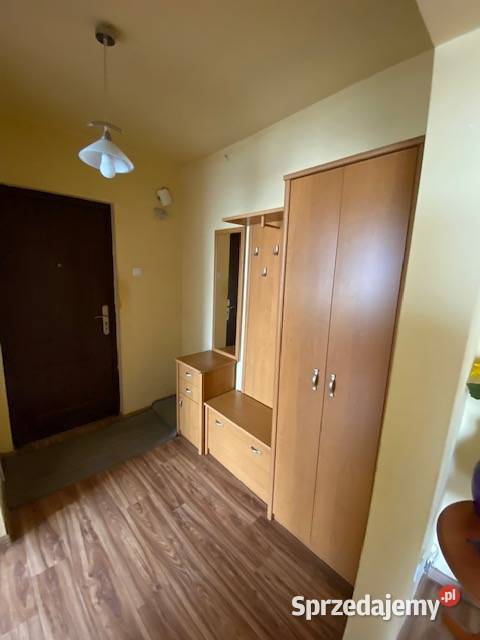 Widzew Wschód Łódź Gogola bezpośrednio w wielka płyta sprzedam