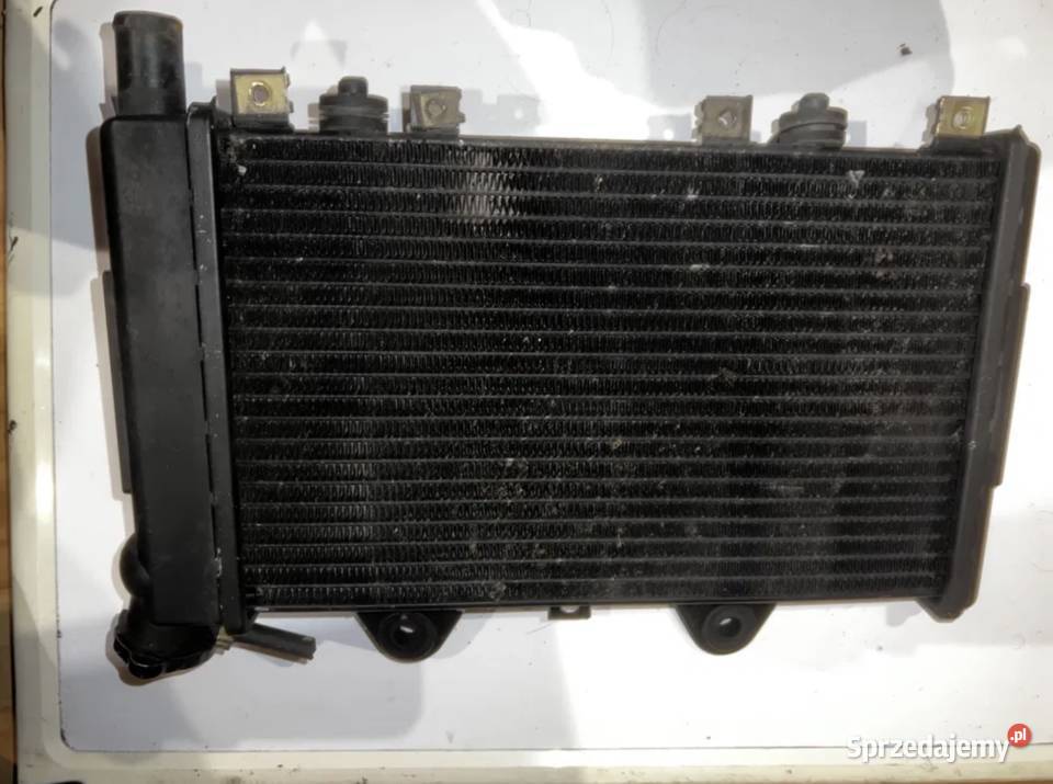 chłodnica TRIUMPH TIGER 900 wielkopolskie Ostrzeszów
