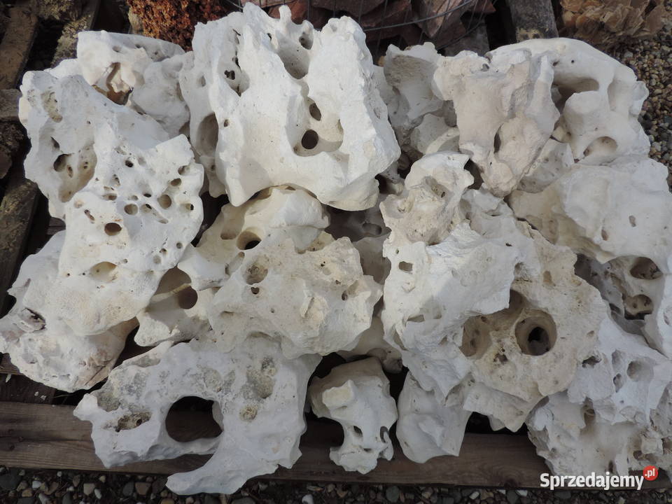 Wapień Filipiński Skała Bryła Kamień do akwarium Oświęcim