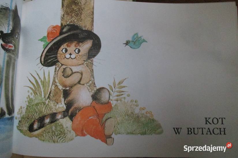Bajki samograjki Brzechwa bajkiKopciuszekKot w Łódź sprzedam